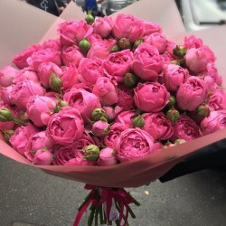 Пышный букет из розовой пионовидной розы model №015